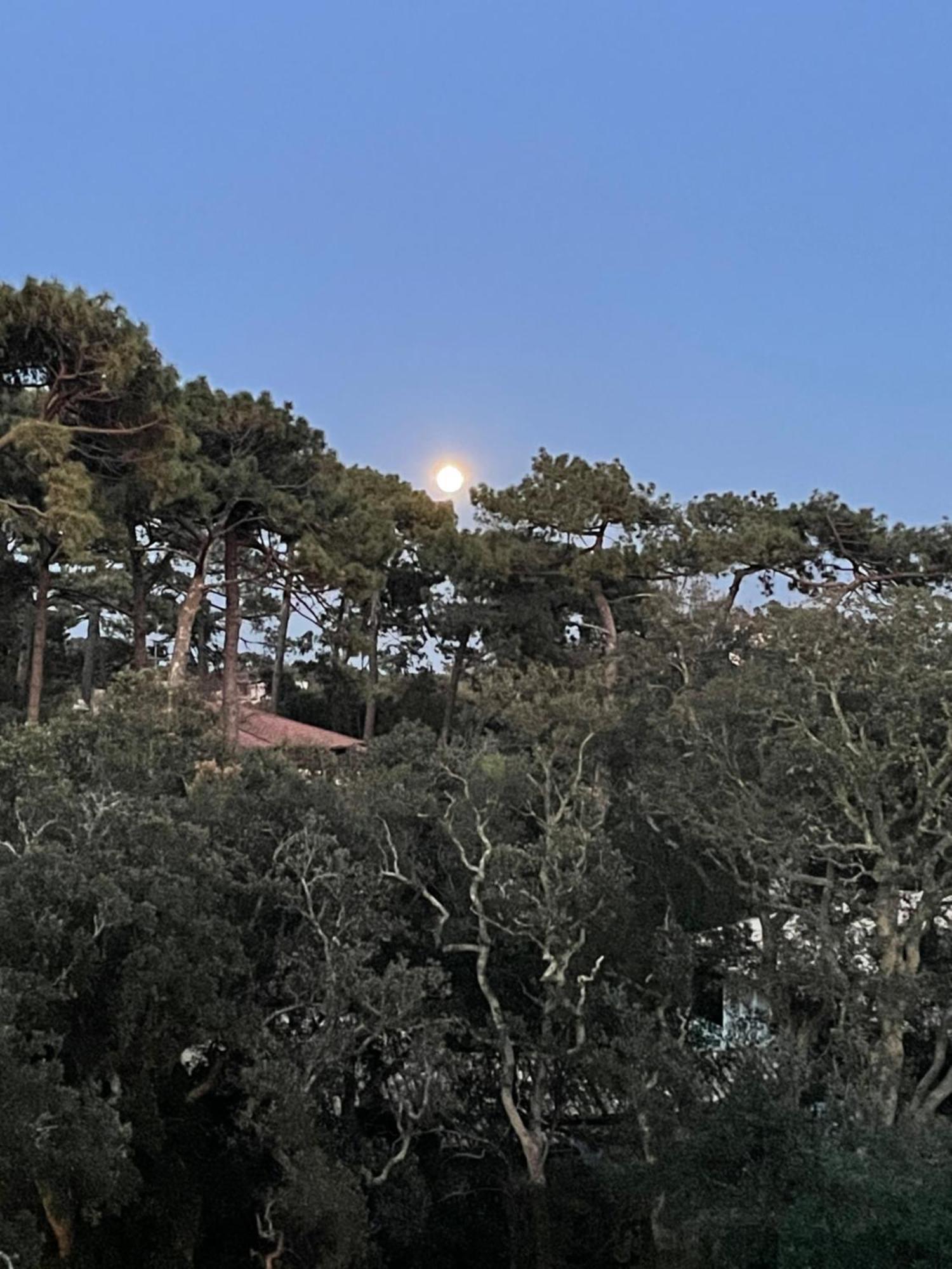 Tao Apartment Soorts-Hossegor Exterior foto